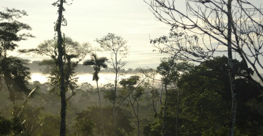 Huella Verde Rainforest Lodge Canelos Buitenkant foto